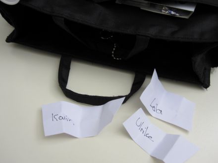 Gewinnspiel Auslosung Handbag Organiser