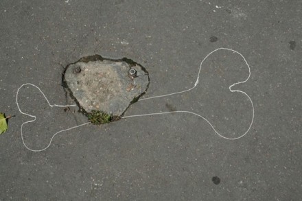 Streetart chien