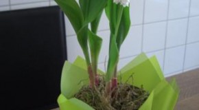 Willkommen, Frühling!