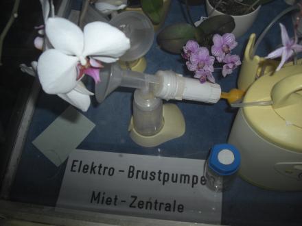 Das ansprechendste Schaufenster Hamburgs