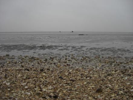 Nordsee-Ausflug nach Büsum
