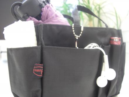 Handbag Organiser