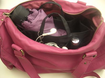 Handbag Organiser