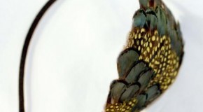 Spektakulärer Haarschmuck