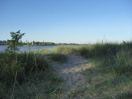 In den Dünen von Wittenbergen