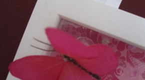 Auslosung Gewinnspiel: Schmetterlingskette