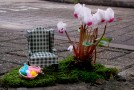 Miniatur Guerilla Gardening
