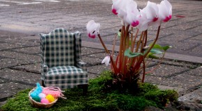 Miniatur Guerilla Gardening