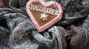 Now open: Hallhuber Online Shop