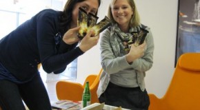 Produkt-Test: Magnum Gold