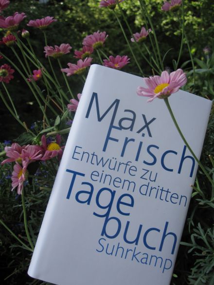 Buchtipp Max Frisch Entwürfe zu einem dritten Tagebuch