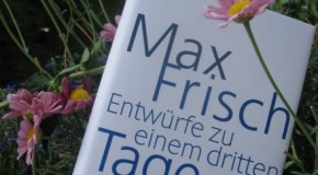 Sommerlektüre-Shopping