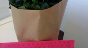 Geschenke, Geschenke