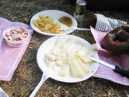 Picknick im Park