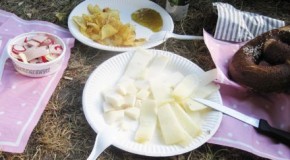 Picknick im Park