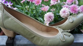 Der Schuh zur Balkonbepflanzung
