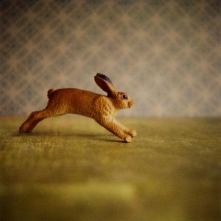 Rabbit Print von esoule