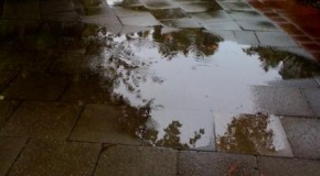 Wasserdicht durch den Hamburger Sommer