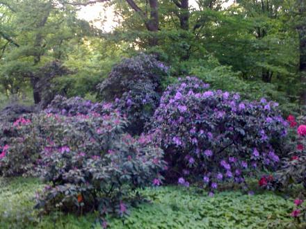 Stadtpark