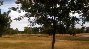 Sommer in der Stadt
