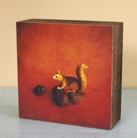 Squirrel Print von esoule