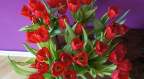 Tulpenparade